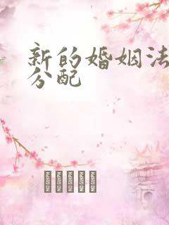 新的婚姻法财产分配