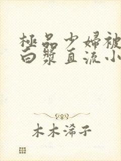 极品少妇被猛得白浆直流小说