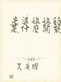 老婆姐姐的老公是什么关系