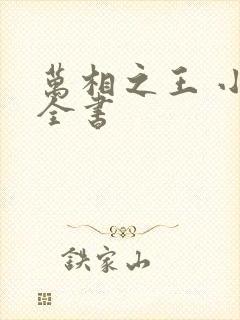 万相之王 小说全书