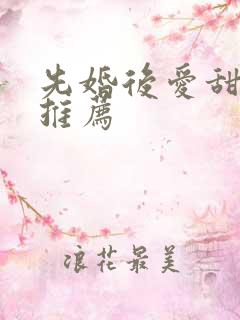 先婚后爱甜宠文推荐