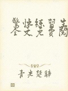 惊悚练习生小说全文免费阅读无弹窗