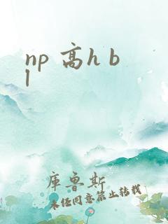 np 高h bl