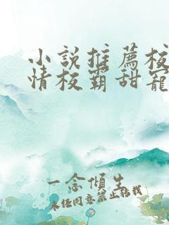 小说推荐校园言情校霸甜宠