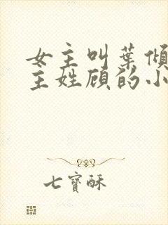 女主叫叶倾城男主姓顾的小说