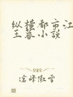 纵横都市江峰沈玉蓉小说