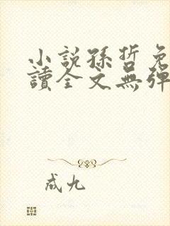 小说孙哲免费阅读全文无弹窗