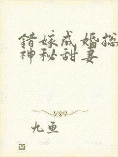 错嫁成婚总裁的神秘甜妻