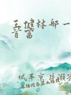 王健林哪一年是首富