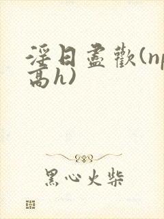 淫日尽欢(np高h)