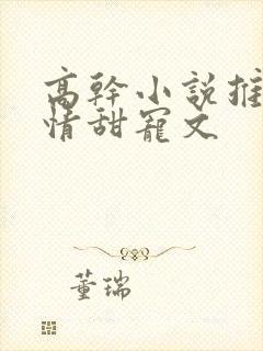 高干小说推荐言情甜宠文