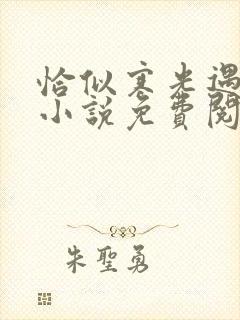 恰似寒光遇骄阳小说免费阅读全文