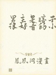 男主是瞎子而且很好看的小说