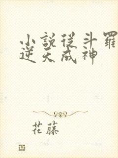 小说从斗罗开始逆天成神