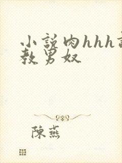 小说肉hhh调教男奴