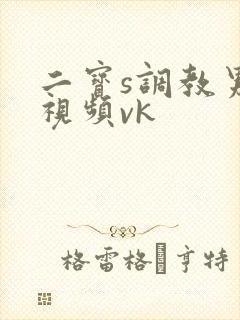 二宝s调教男奴视频vk