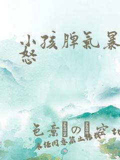 小孩脾气暴躁易怒