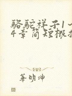 骆驼祥子1～24章简短概括