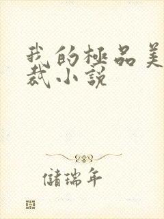 我的极品美女总裁小说