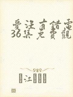 爱没有错电视剧36集免费观看剧情