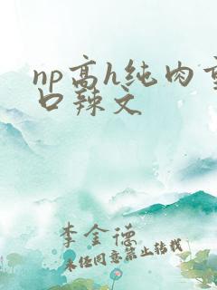 np高h纯肉重口辣文