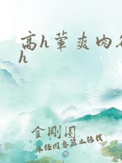 高h荤爽肉欲文h