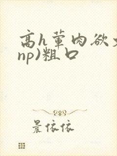 高h荤肉欲文(np)粗口