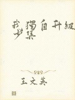 我独自升级有多少集