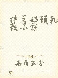 拧着奶头乳夹调教小说