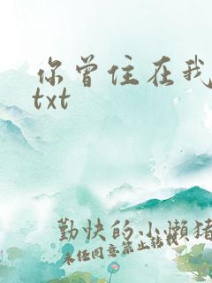 你曾住在我心上txt