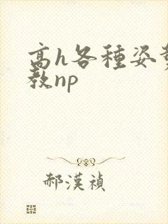 高h各种姿势调教np