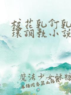 校花乳钉乳环蒂环调教小说h