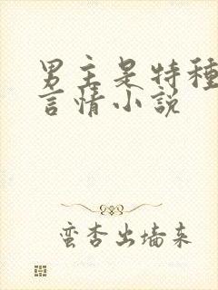 男主是特种兵的言情小说