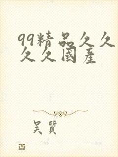 99精品久久久久久国产