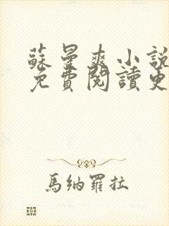 苏曼爽小说全文免费阅读更新时间