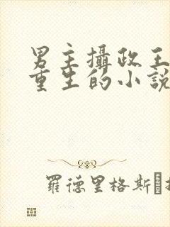 男主摄政王女主重生的小说