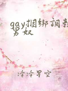 gay捆绑调教男奴