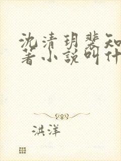 沈清玥裴知晏原著小说叫什么