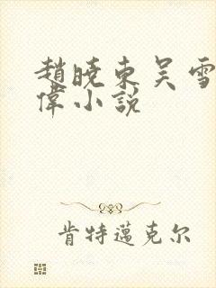 赵晓东吴雪晴郑伟小说