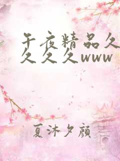 午夜精品久久久久久久www