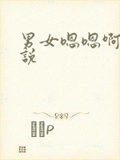 男女嗯嗯啊啊小说