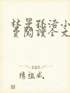 林曼孙浩小说免费阅读全文最新章节