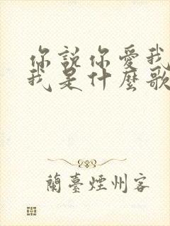 你说你爱我你想我是什么歌