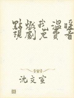 点燃我温暖你电视剧免费看完整版