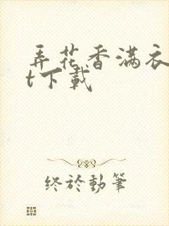 弄花香满衣txt下载