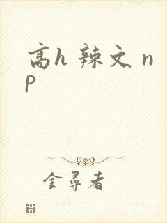 高h 辣文 np