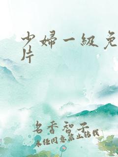 少妇一级免费淫片