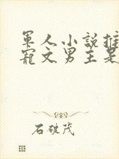 军人小说推荐甜宠文男主是军人