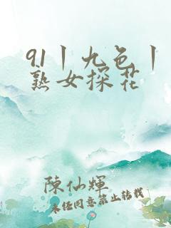 91丨九色丨老熟女探花