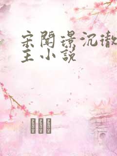 宋闻璟沉彻双男主小说